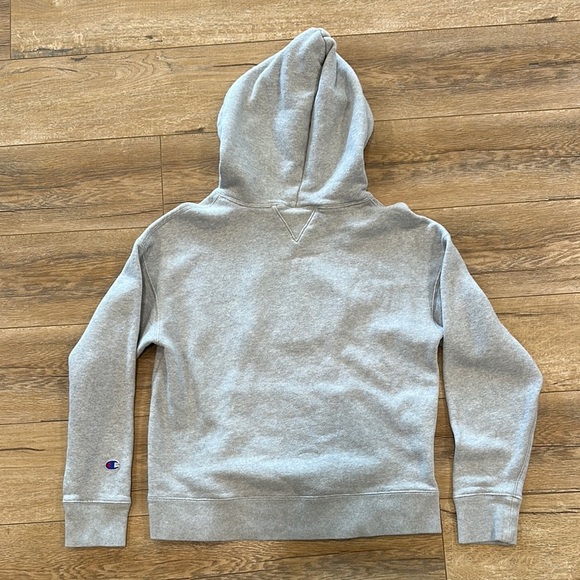 Champion 100 Year Anniversary Gray Hoodie with Logo Size Medium - Picture 5 of 5